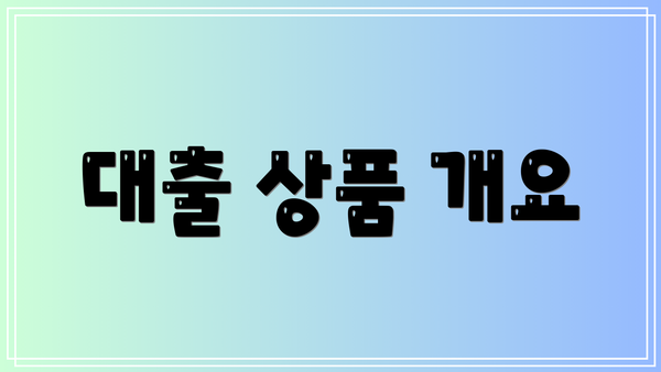 대출 상품 개요