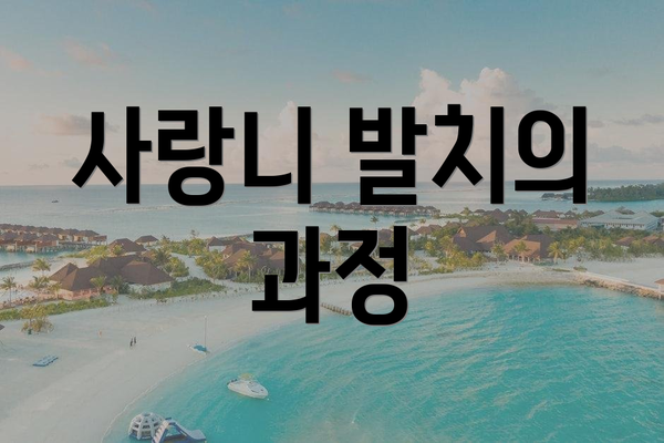 사랑니 발치의 과정