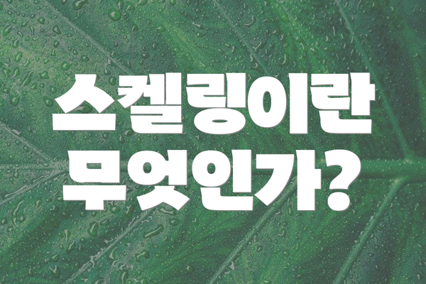 스켈링이란 무엇인가?