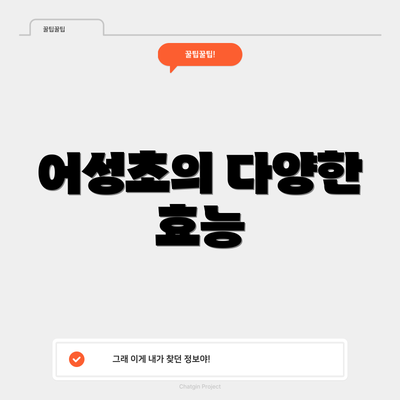 어성초의 다양한 효능