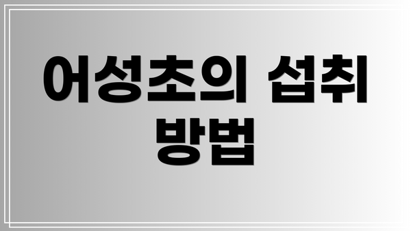 어성초의 섭취 방법