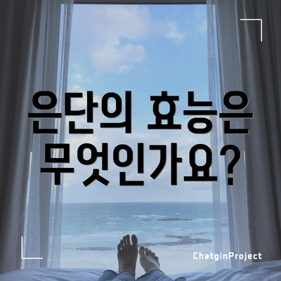 은단의 효능은 무엇인가요?