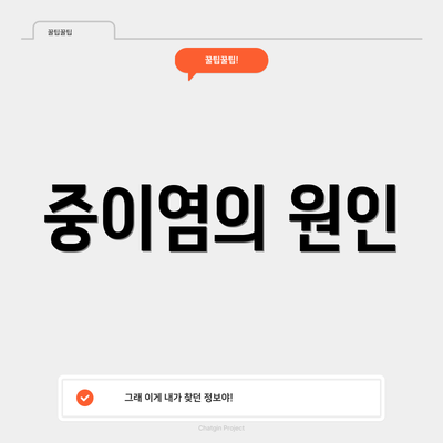 중이염의 원인