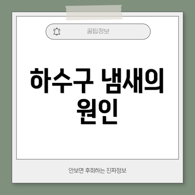 하수구 냄새의 원인