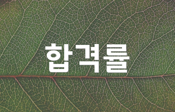 합격률
