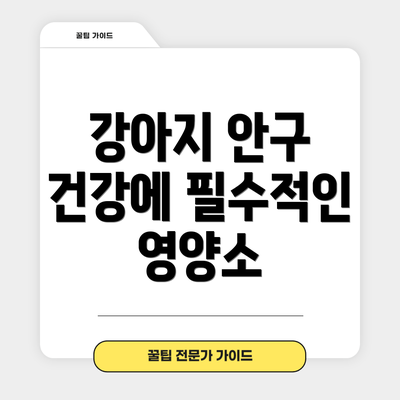 강아지 안구 건강에 필수적인 영양소