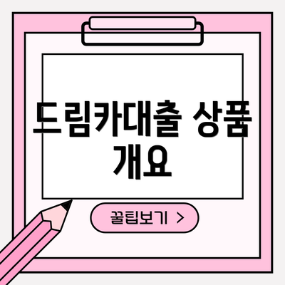 드림카대출 상품 개요