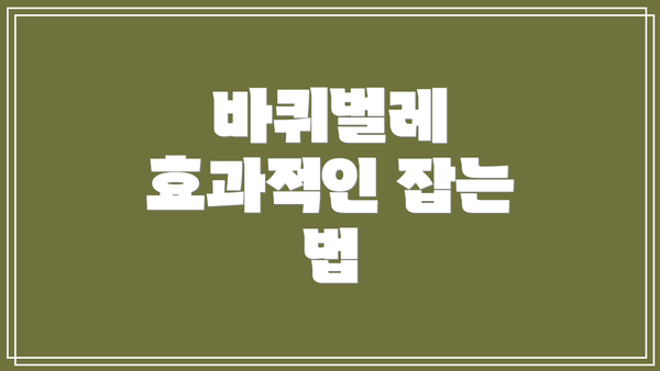 바퀴벌레 효과적인 잡는 법
