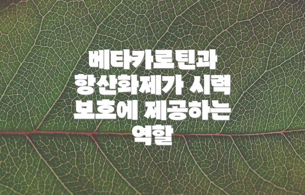 베타카로틴과 항산화제가 시력 보호에 제공하는 역할
