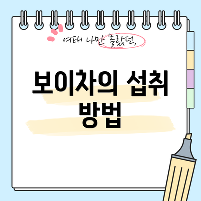 보이차의 섭취 방법