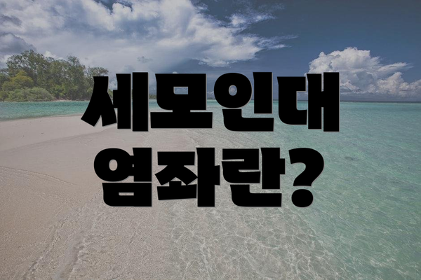 세모인대 염좌란?