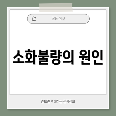 소화불량의 원인