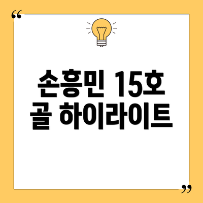 손흥민 15호 골 하이라이트