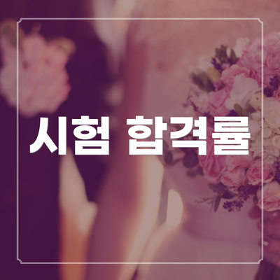 시험 합격률
