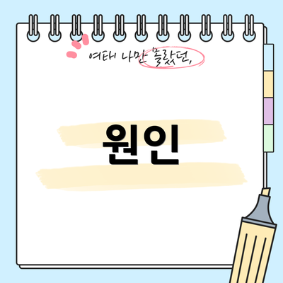 원인