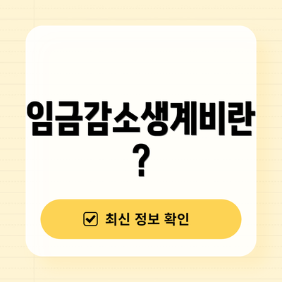 임금감소생계비란?