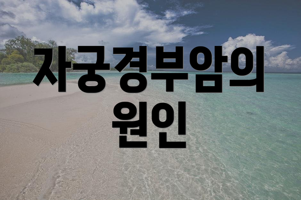 자궁경부암의 원인