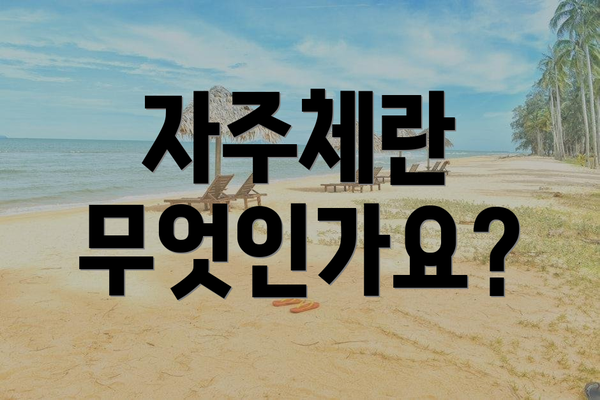 자주체란 무엇인가요?