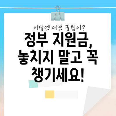 정부 지원금, 놓치지 말고 꼭 챙기세요!