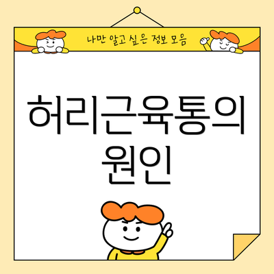허리근육통의 원인