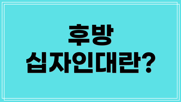 후방 십자인대란?