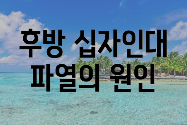 후방 십자인대 파열의 원인