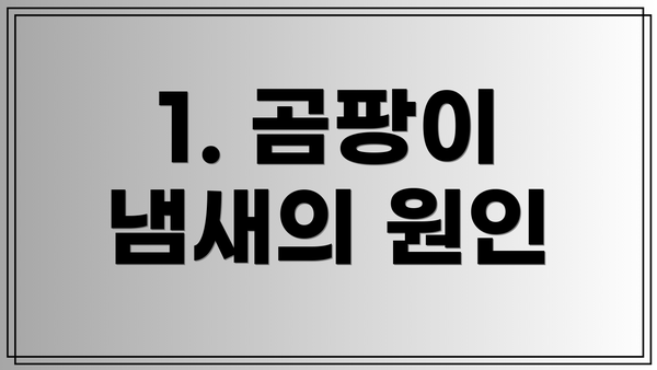 1. 곰팡이 냄새의 원인