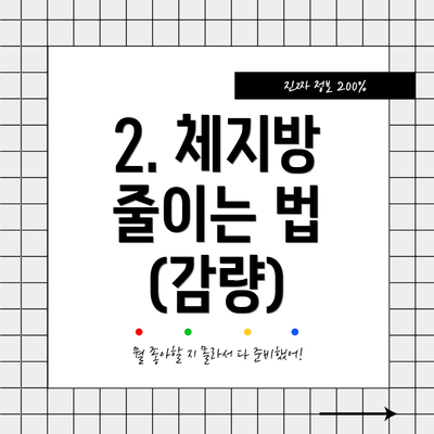 2. 체지방 줄이는 법 (감량)