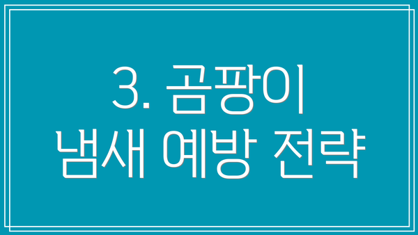 3. 곰팡이 냄새 예방 전략