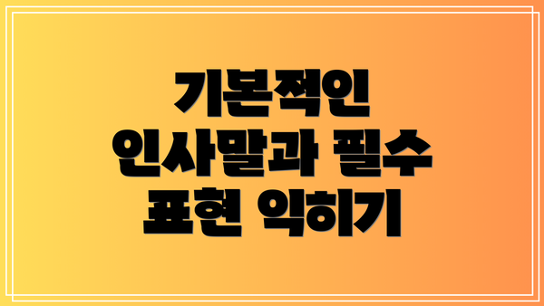 기본적인 인사말과 필수 표현 익히기