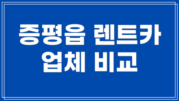 증평읍 렌트카 업체 비교