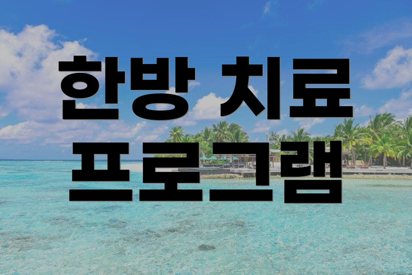 한방 치료 프로그램